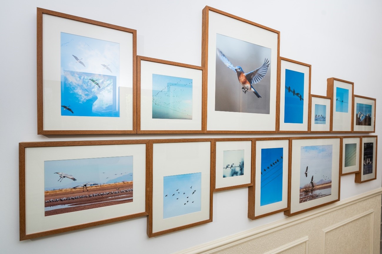 Molduras Estilo Minimalista – A tendência que veio para ficar - Moldurarte