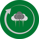 Pinus Reflorestado